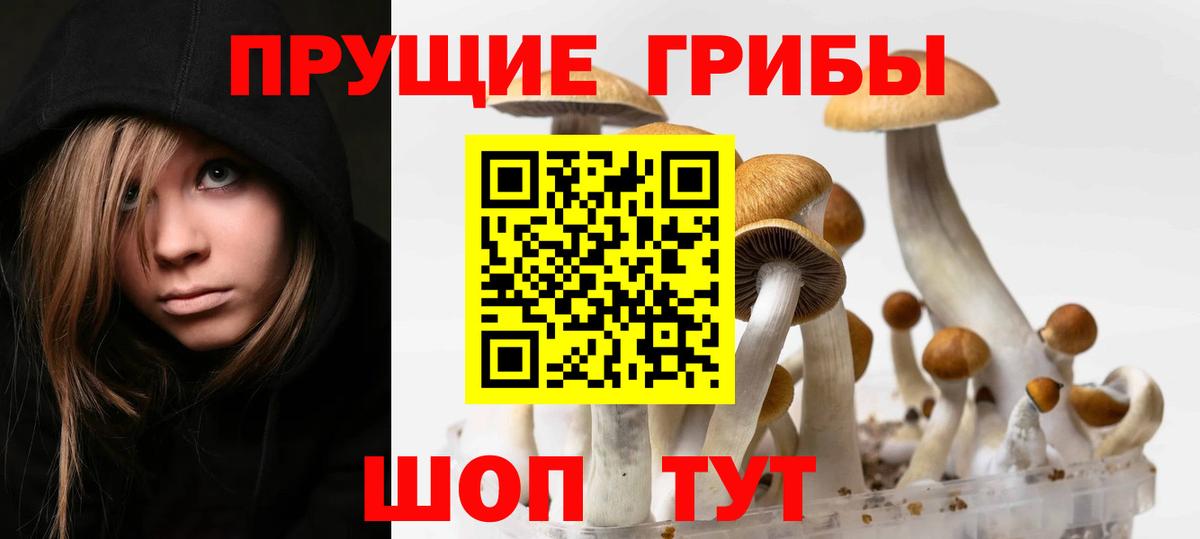 Псилоцибиновые грибы Psilocybine cubensis Кувандык