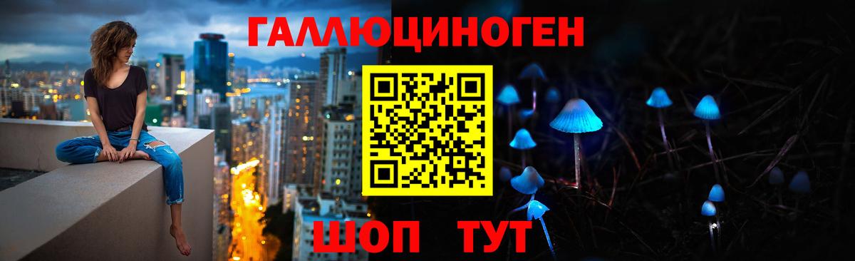 Псилоцибиновые грибы Magic Shrooms  Вход с VPN  закладки  Кувандык 